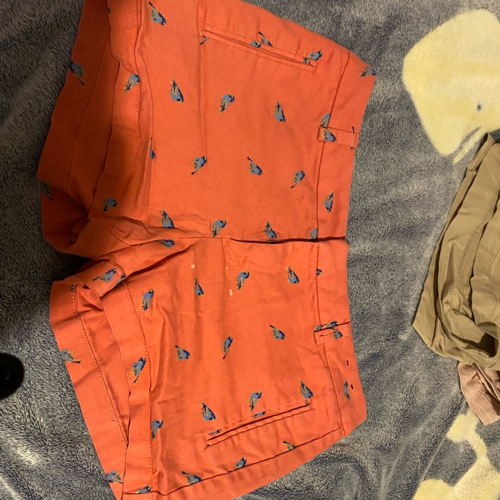 JCPenney Bird Printed Shorts
